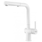 Grifo Franke ACTIVE PLUS PULLOUTBL, blanco, extrai