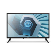TV EVER LED 24 TDT2 - HD  USB PVR OCA MODO HOTEL