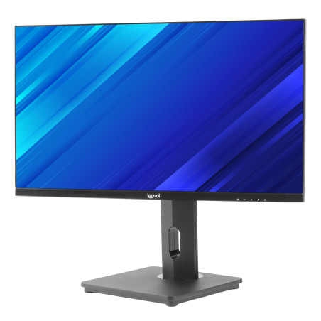 Monitor 24 VGA HDMI 120Hz pivotante AA MM