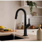 Grifo monomando Nova FR41GM, extraible, gunmetal,