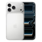 iPhone 17 Pro Max 17,5 cm (6.9) SIM doble iOS 26 5G USB Tipo C 256 GB Plata