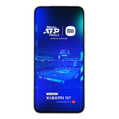 15T 17,4 cm (6.83) 12 GB 512 GB 5500 mAh Gris