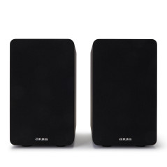 SP-A100 altavoz Negro Alámbrico 140 W