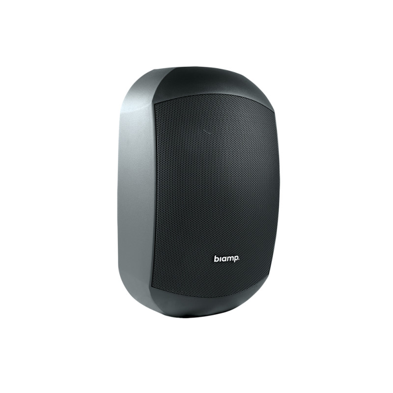 Desono MASK6C De 2 vías Negro Alámbrico 150 W