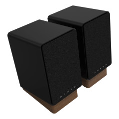 GX-30ARC De 2 vías Negro Inalámbrico y alámbrico 50 W