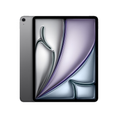 iPad 13 Wi-Fi + Cellular 128GB - Gris especial