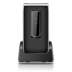 SL495 LTE 6,1 cm (2.4) 86 g Negro, Plata Teléfono básico