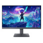 LOQ 24-10 Monitor