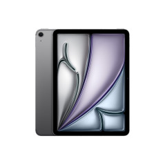 iPad 11 Wi-Fi + Cellular 1TB - Gris especial