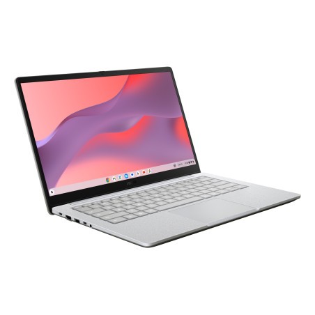 Chromebook CB1405CTA-S60955 - Ordenador Portátil 14 Full HD (Intel N N50, 8GB RAM, 64GB eMMC, UHD Graphics, ChromeOS) Gris Puro