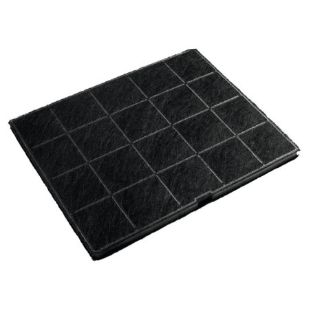 Filtro Carbon Electrolux ECFB01