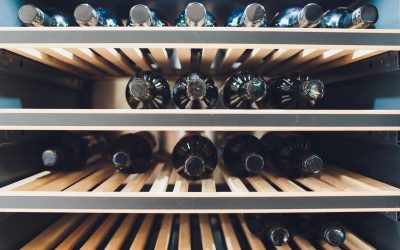 Mejores vinotecas 2025: cómo elegir la ideal para tu hogar